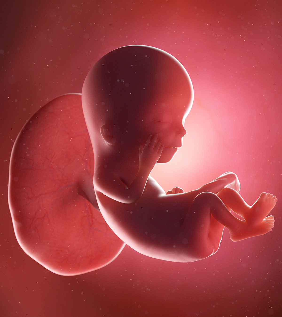 فرم تعیین هویت 