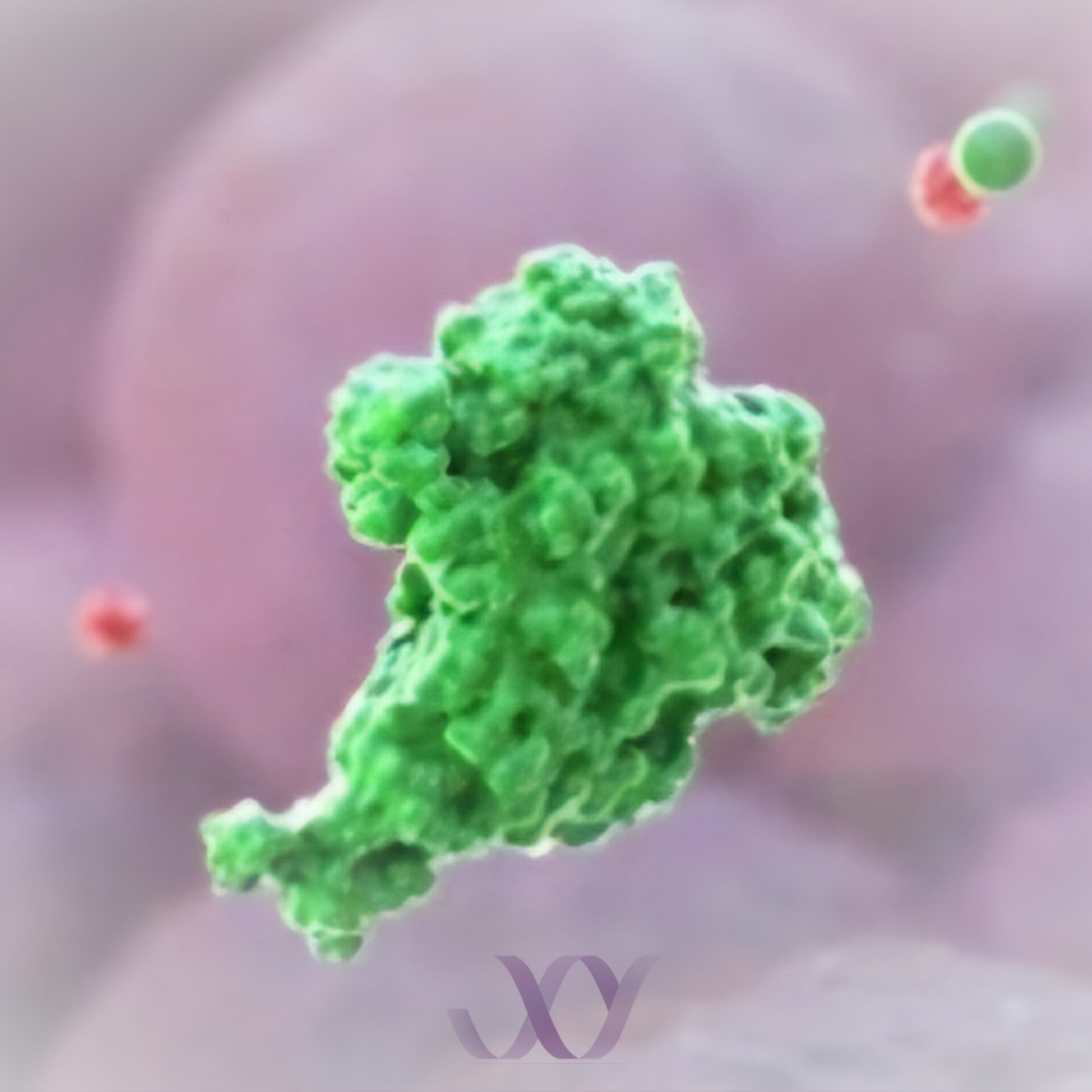 آزمایش گالاکتومانان