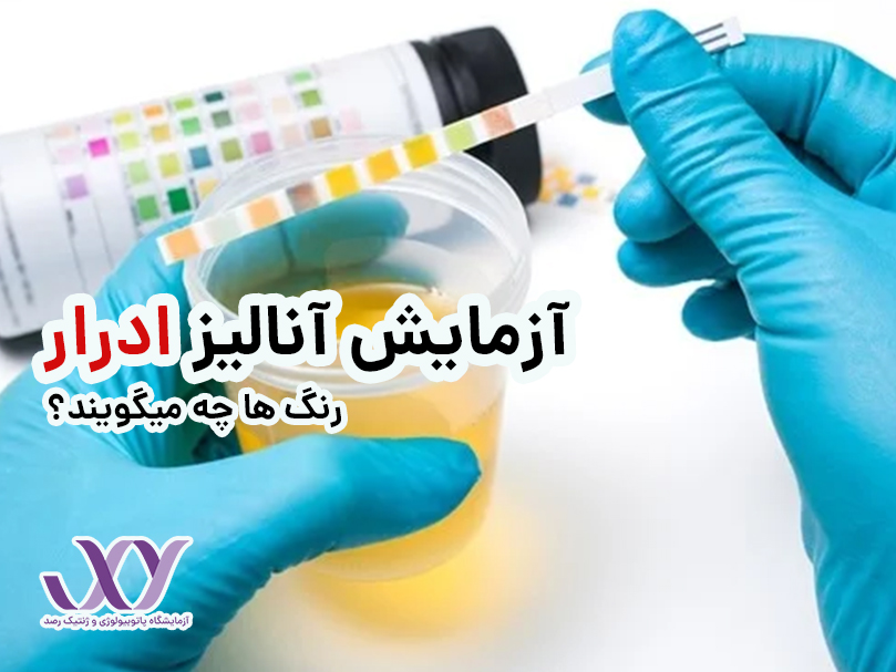 آنالیز ادرار چیست؟