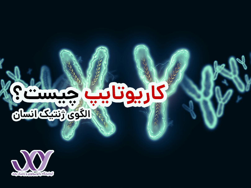 کاریوتایپ چیست؟